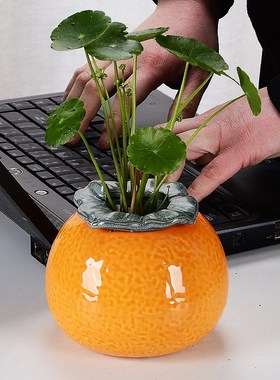 创意大吉大利荔枝桔子水培花瓶花盆简约桌面新房客厅乔迁玄关摆件