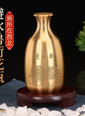 避水兽瓶摆件厕所在西北角化解荷花鲤鱼图卫生间纯黄铜葫芦五帝钱