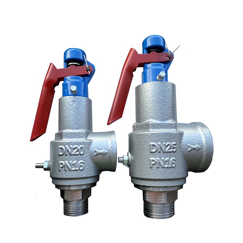 A28H-16全启式安全泄压储气罐夹层锅炉管道蒸汽发生器可代检测