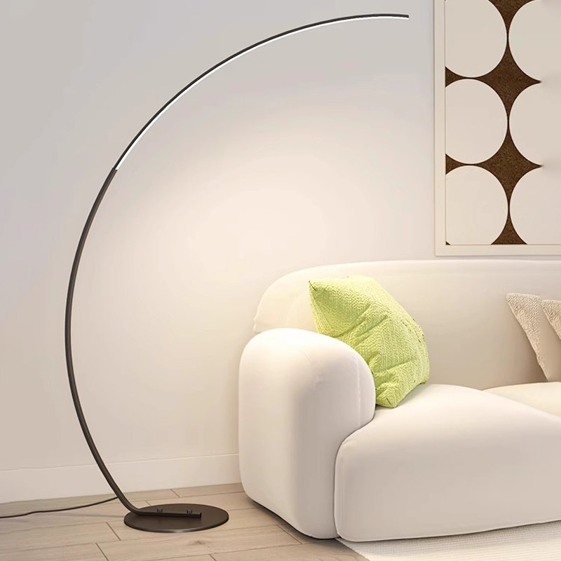 弧形落地灯客厅轻奢高级感2v024新款卧室台灯氛围灯沙发边钓鱼灯
