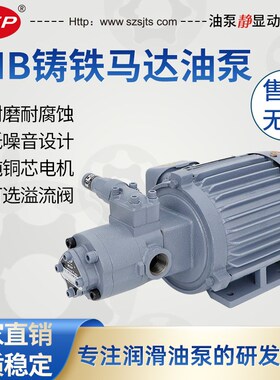 厂家直销摆线泵 液压泵马达 机床油泵电机组TOP-2MF750-210HBM-VB