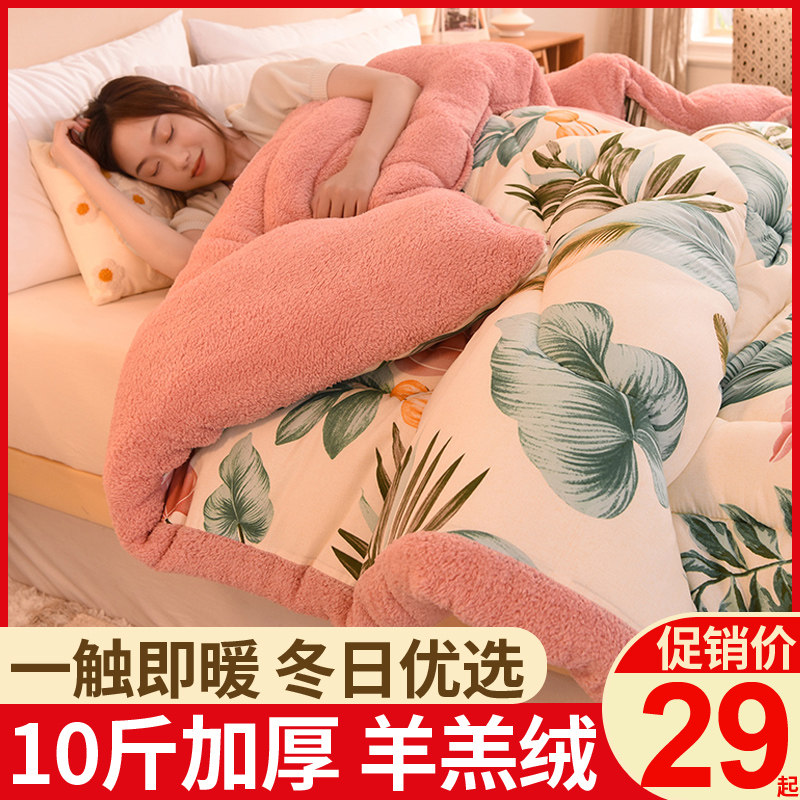冬被加厚羊羔绒被子保暖棉被被芯冬天学生宿舍单双人秋冬被被褥子,床上用品,化纤被,淘宝优惠券,粉丝福利购,淘宝优惠卷
