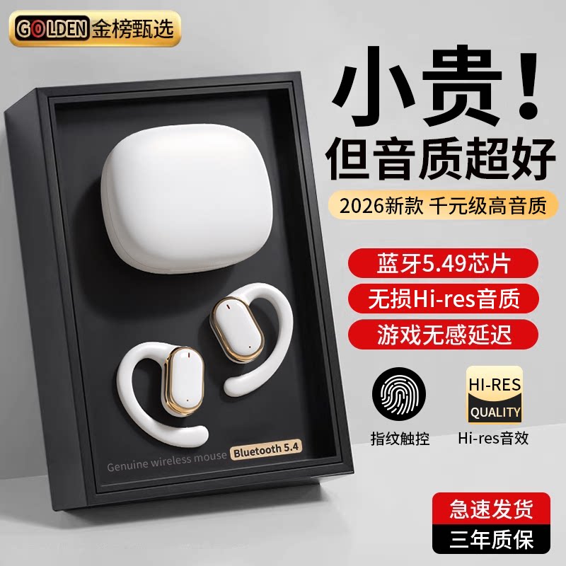 蓝牙耳机政府补贴2026新款