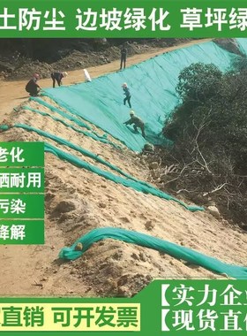 园林绿化无纺布护坡工程布盖土工地覆盖绿网绿色透V气膜绿化布整