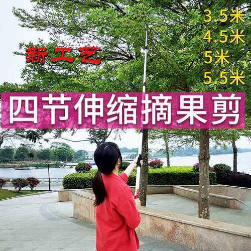 摘果剪高枝剪摘枇杷香椿荔枝伸缩加长杆修果树枝高空采摘水果神器
