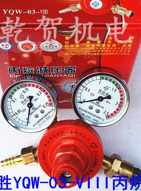 YQW-03-VIII 丙烷减压器 丙烷表 压力表 青岛国胜