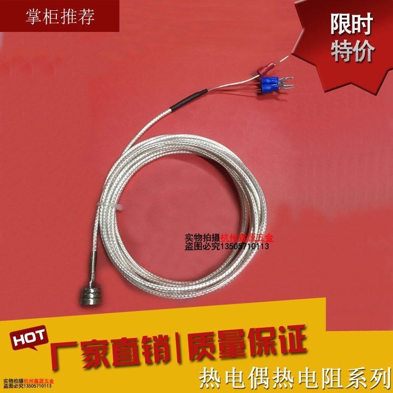 强磁热电阻A级WRE-31PT100测温探头热电阻400度3000mm测温热电阻