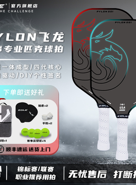 ZDLE飞龙赛事级匹克球球拍热压一体磨砂碳纤维拍板Pikcleball竞技