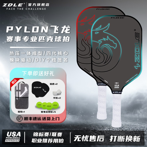 ZDLE热压一体东丽T700碳纤维匹克球球拍磨砂Pikcleball拍板全套装