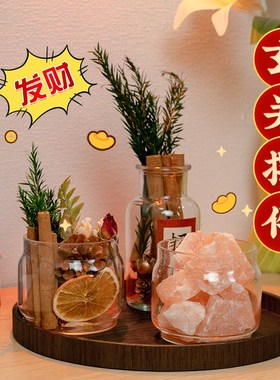 入户玄关餐边柜招财小摆件肉桂生财粗盐I净宅发财树客厅电视柜装