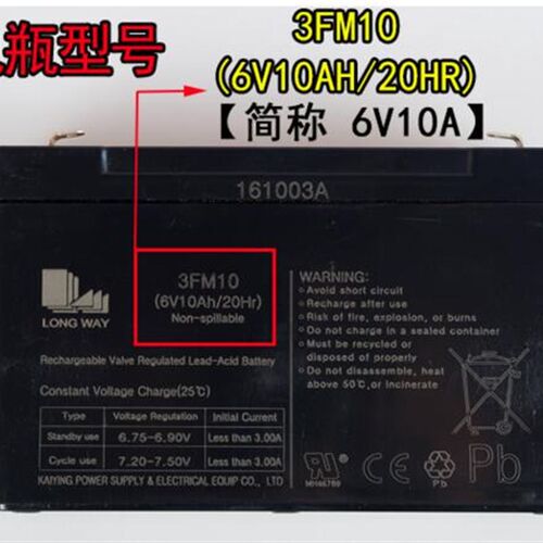 LONGWAY龙威儿童电动车电池6V10ah20hr电瓶摩托车大容量3FM10通用