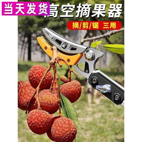 摘水果神器采摘荔枝龙眼杨梅高枝剪伸缩杆高空枝剪专用剪刀采果子