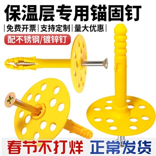 内外墙保温钉保温层保温泡沫板专用膨胀螺丝固定钉锚固胀钉分体式