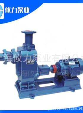 大流量无堵塞自吸排污泵ZW系列自吸泵200ZW280-12卧式污水泵