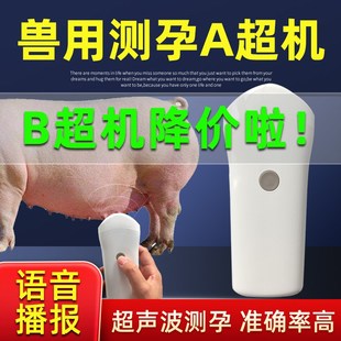 兽用A超机语音B超母猪测孕仪器猪比超机超声波怀孕彩超检孕养殖