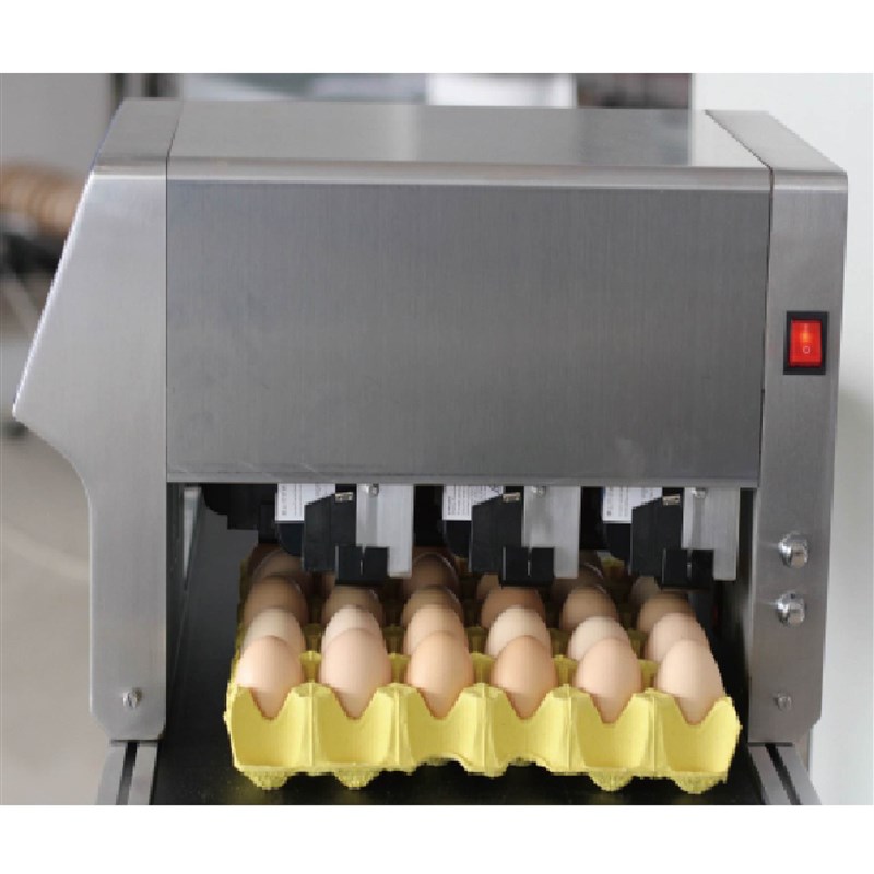 全自动鸡蛋六头流水线油墨商标日期喷码机器鸭蛋图案喷印打码机器