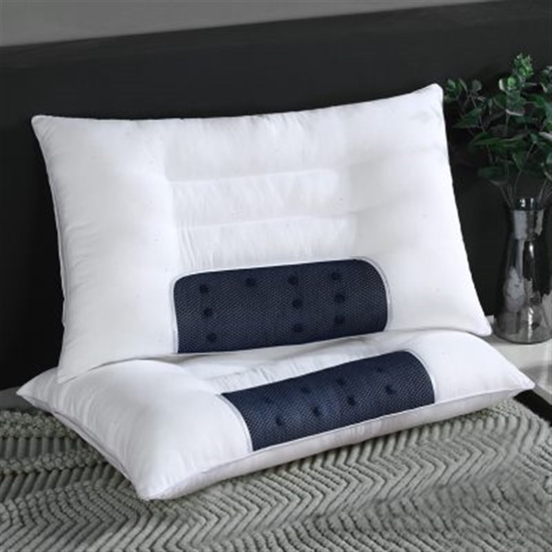 全棉决明子枕头单人荞麦护颈椎枕助睡眠双人枕芯家用一对拍2