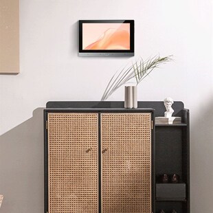 泊声海豚700家庭背景音乐主机系统智能分区嵌墙控制器吸顶音响