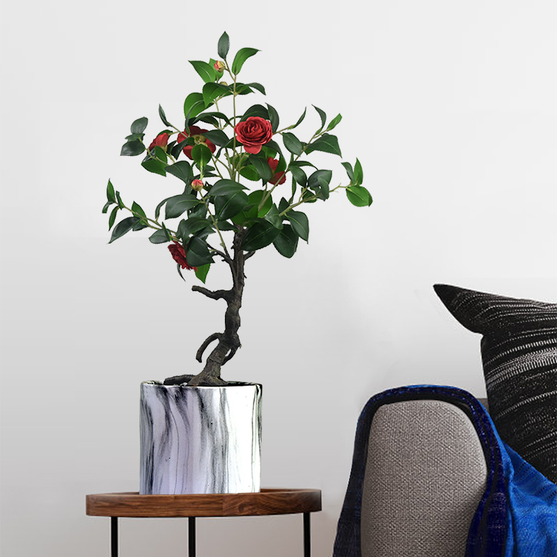 茶花仿真花高档山茶树盆栽假花绿植盆景客厅桌面室内装饰花艺摆件