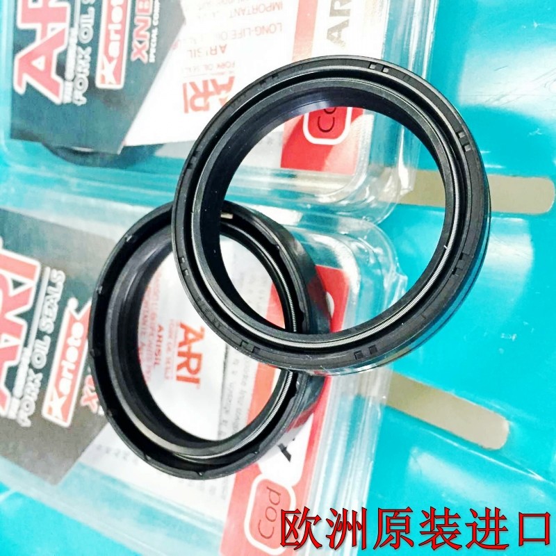 欧洲进口ARI杜卡迪696/795/796/797/821怪兽V2街霸V4S前减震油封