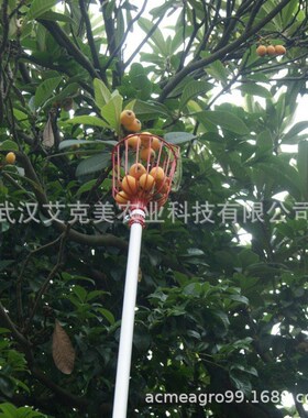 力摘果篓手动园林工具摘果器伸缩果树采摘工具果园采摘工具