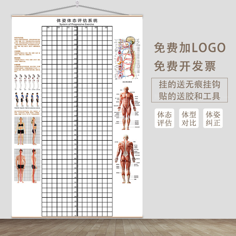 体态评估表挂式体测网格健身房瑜伽馆私教形体脊椎修复身体对比图