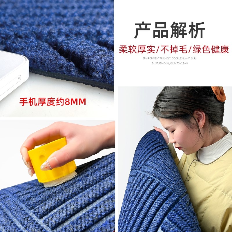 蓝色入户门地垫进门除尘脚垫家用进户门防滑耐脏门口地毯玄关门垫图片