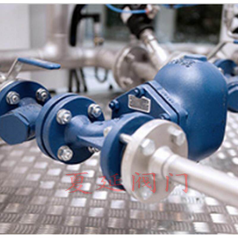 SpiraxSarco斯派莎克FT43-4.5 浮球式蒸汽法兰疏水阀、DN20