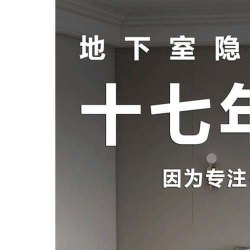 地下室隐藏门，酒窖暗门隐形门，电动上翻盖，污水井盖板