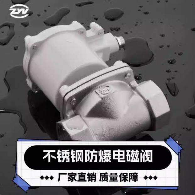 B2W防爆不锈钢常闭电磁阀气阀220V24V瓦斯瓦斯柴油电磁阀DN65