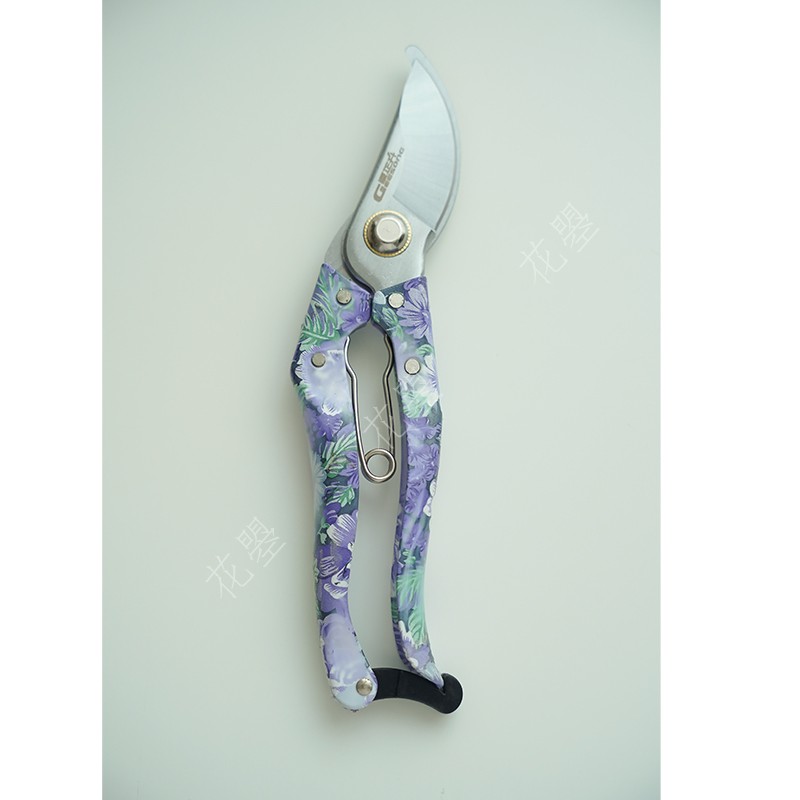 花曌 绿色海棠果棠梨果鲜切枝条水D养中式东方R家居瓶插花新鲜果