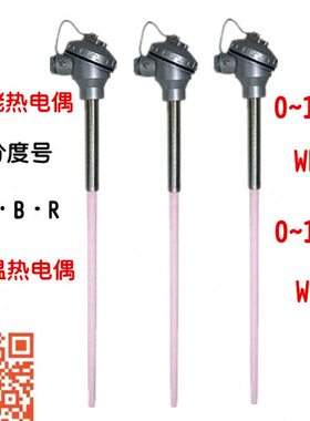 S型铂铑热电偶WRP-130 230耐高温刚玉管0-1600度WRR双温度传感器B