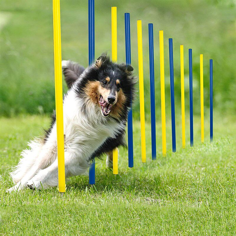 狗敏捷训练障碍标志杆工作犬灵敏蛇形绕杆训狗器宠物户外运动用品