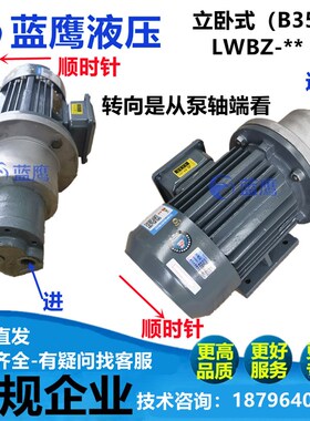LWBZ-25/32/20/16立卧式B35油泵电机组齿轮泵CB-B16/B20/B25/B32
