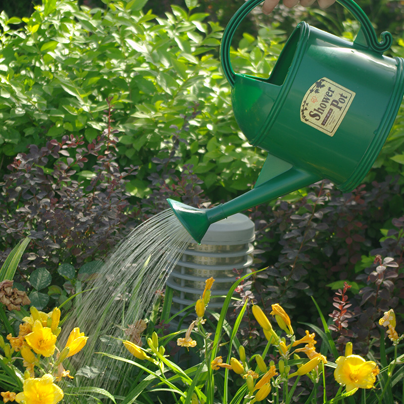 爱丽思树脂彩色花洒洒水壶浇花壶家用 园艺绿植花卉浇水壶包邮