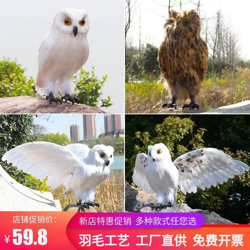 新品仿真羽毛猫头鹰哈利波特摆件万圣节cosplay表演道具摄影装饰,3C数码配件,USB多功能数码宝,淘宝优惠券,粉丝福利购,淘宝优惠卷