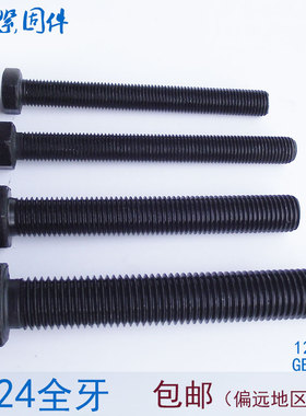 12.9级全牙外六角螺丝螺栓 M24*150x160x180x200x220x240x250x300