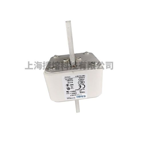 全新原装170M6160 170M6161 170M6163低压熔断器 标准封装 现货