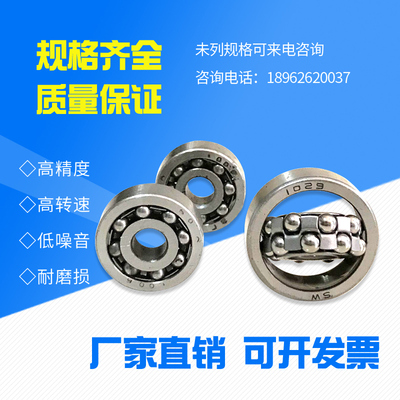 微型调心球轴承 圆球双列调心1096 1018 1019 1026 1027 1035