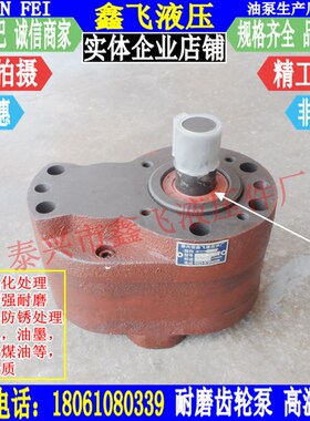 高温泵CB-BSH80水齿轮泵TCB-BSH100化工泵LB-BSH125耐酸碱油泵