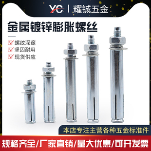 市场标膨胀螺丝镀锌膨胀螺丝金属膨胀M6M8M10M12M14M16M外六角