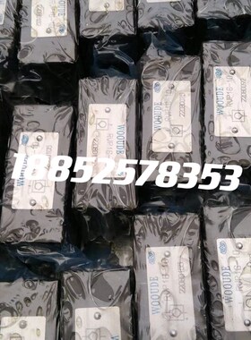 WDJF-SB5-10B-DY2/CW220RNZ5L WOOUDE 压滤机卸荷阀 电磁换向阀