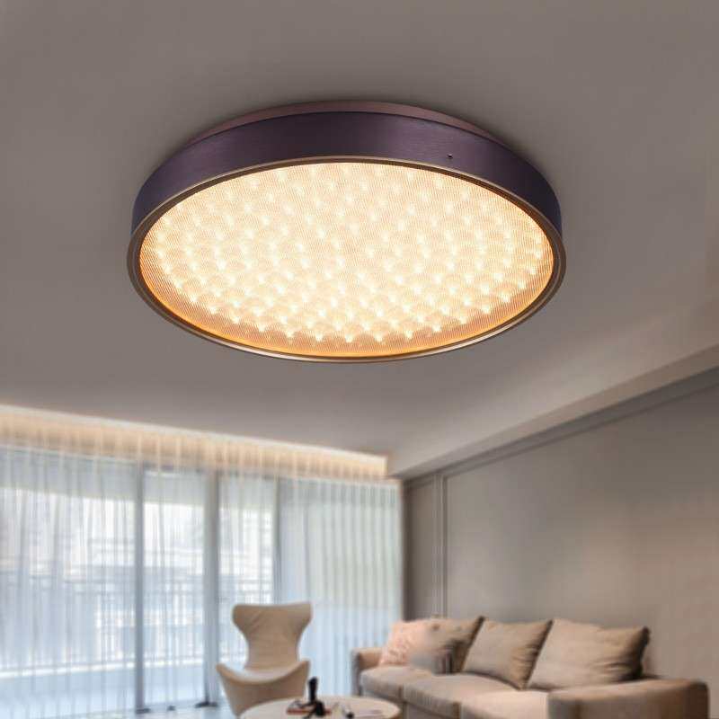 新特丽客厅LED吸顶灯过道 简约现代家用极简卧室灯饰灯具轻奢定制