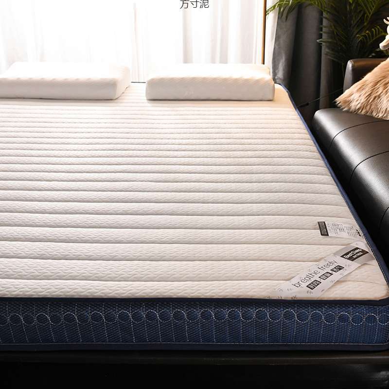 床垫子加厚家用榻榻米睡软垫出租房学生宿舍单双人床法莱绒褥子厂