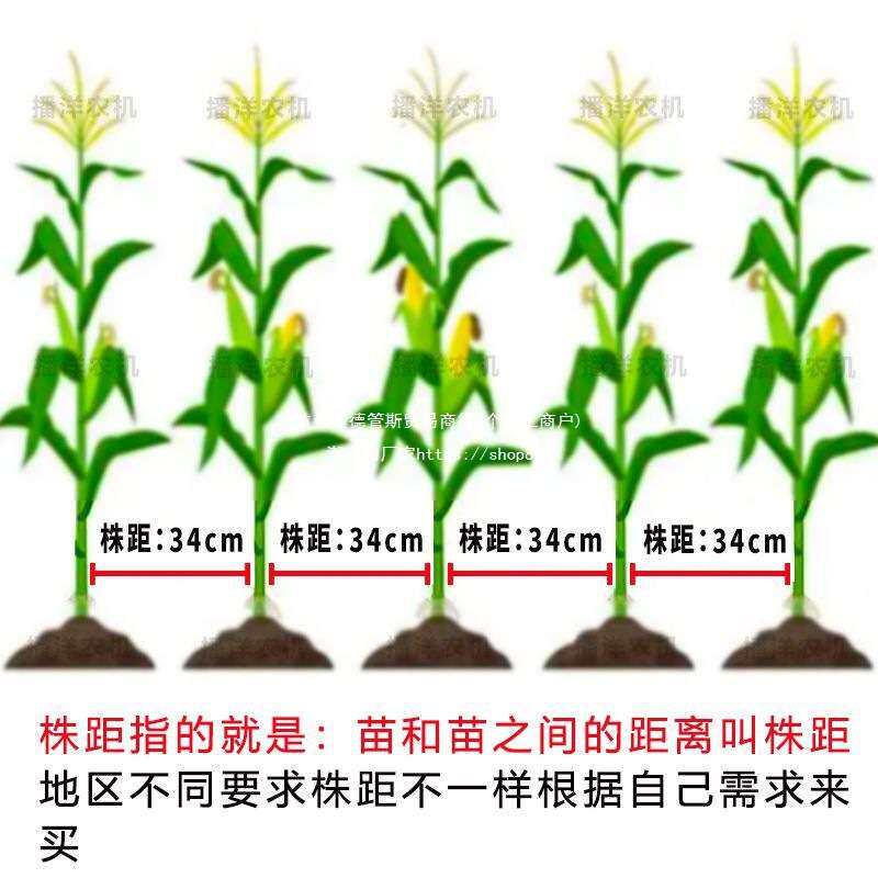 种植多功能点播机黄豆人工花生机器精量点播种地播种器玉米播种机
