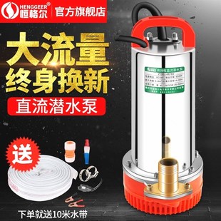 德国进口12V直流潜水泵24V48V60V伏电动车抽水机农用小型抽水泵电