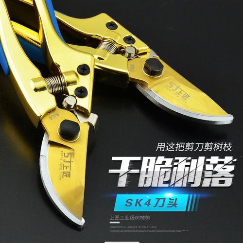 上匠园艺剪 花枝剪刀 修剪果树剪子 粗枝剪果修枝剪园林剪 树枝剪
