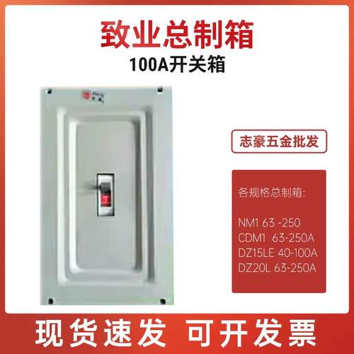 致业100A总制箱250A塑壳开关箱DZ20L布线箱 强电箱NM10铁箱DZ15LE
