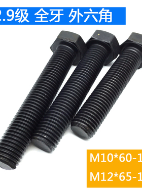 六角12.9级60x65x70x75x80x90x100x120x130x150全牙外螺丝M10M12*