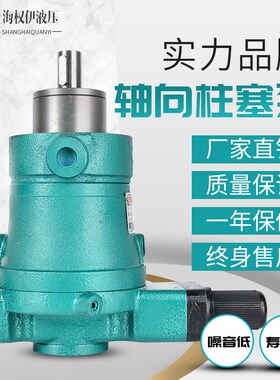 10YCY25YCY40YCY63YCY80YCY160YCY250YCY14-1B轴向柱塞泵